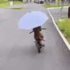 XITPOST ANIMADO  ˃̵ᴗ˂̵ 6