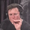 2025 19