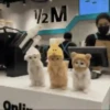 Gatos  21