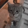 Memes do TikTok 😋🫦 18