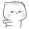 Mochi Cat 17