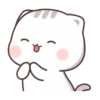 Mochi Cat 23