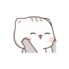Mochi Cat 25