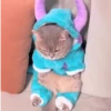 Gatitos lindos 3.0 - anubiss 25
