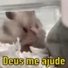REAÇÕES ANIMADAS 6