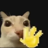 Gatos para tus chats  15