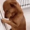 Реакция в TikTok 3 🆕 11