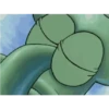 Calamardo Mov 19