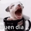 Memes pa' decir buen dia☀️ 8