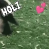 Memes de Animales 🐕🐈 12