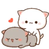 Peach and Goma 5