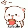 Gatitos kawaii 23