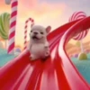 Pibble perro Tiktok 😎 12