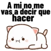 A mi no me vas a decir que hacer н