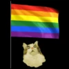 LGBT👑 13
