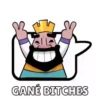Clash Royale👑 5