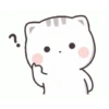 NEW CATT KIYOWOO 5