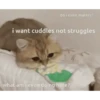 Cute cartoon 30