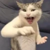 New Emote de king nasir🔥📲 13