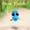 Boa Tarde!