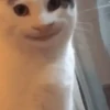 Só reações de deboche 13