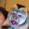 Memes do TikTok 😋🫦 20