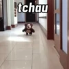 REAÇÕES ANIMADAS 12