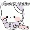 VÁRIOS SENTIMENTOS 12