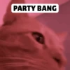 Low quality cat 9