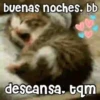 💓🐱Michis Para Tu Amorcito🐱💓 5
