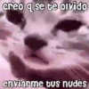 💓🐱Michis Para Tu Amorcito🐱💓 10