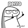 perro @FlorksitaV