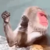 Memes divertidos  6