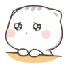 Mochi Cat 22