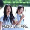 FOFOCA 10/10 ⭐ 6
