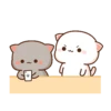 Mochi Cat 10