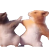 XITPOST ANIMADO  ˃̵ᴗ˂̵ 14