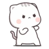 Mochi Cat 16