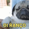 Para morrer de rir 🤣 7