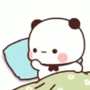 The panda's funny 13