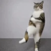 Michis Tóxicos Vol. 1 🐱💣 15