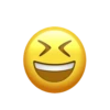 GIF EMOJI IP 13