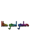 Nice güzel günlere