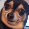 DEBOCHADAAH 5