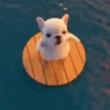 Pibble 🐶 6