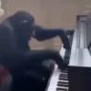 Monos y changuitos 4 🐒🦍🦧 21