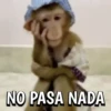 🙈Reacciones de Monos/Monkeys🙉 11