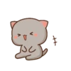 Mochi Cat 11