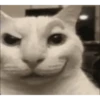 Xitpost  5