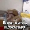 🍌🦍MoNoS #2🍌🦍 4